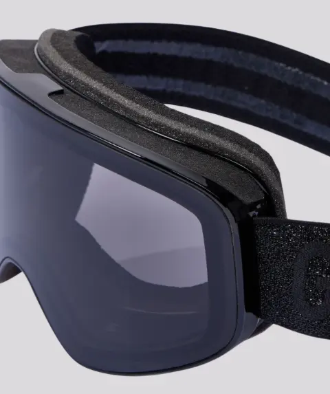 Goggle Goldbergh protege Black 